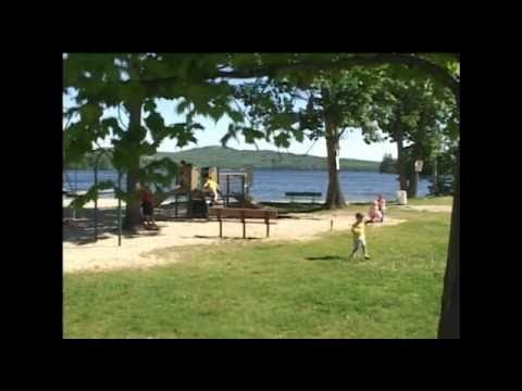 Taking My Cat Down The Slide music video